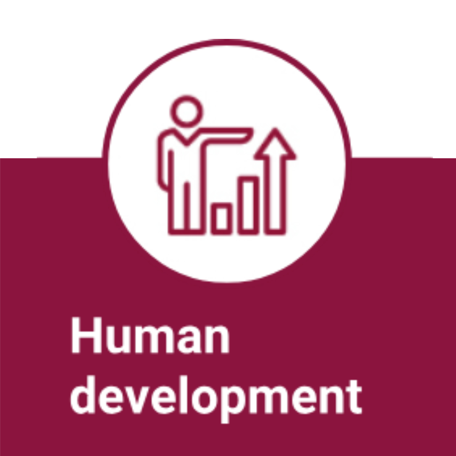 Icon representing the QNV pillar of Human Development with a person and upward growth bars