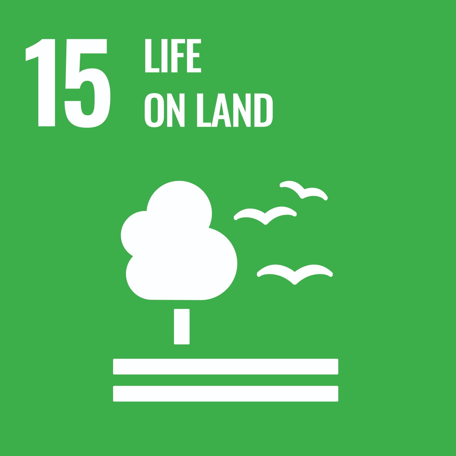 SDG 15 icon representing Life on Land