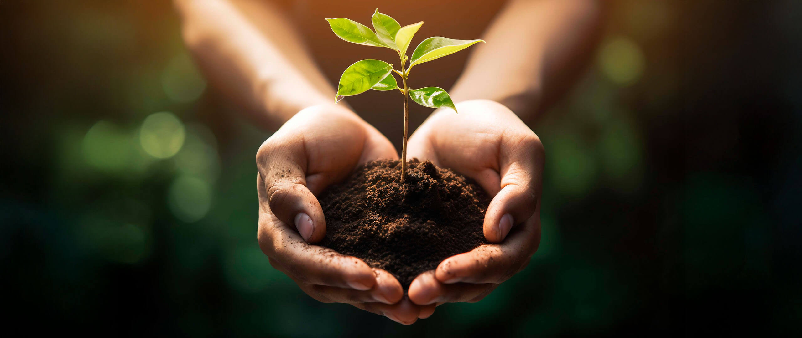 social-responsibility-banner-qatar-islamic-bank-qib