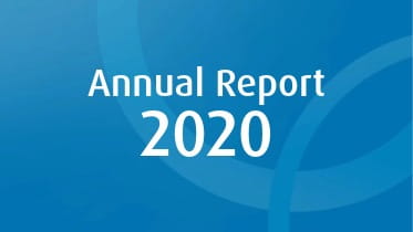 Cover thumbnail for Annual Report 2020.