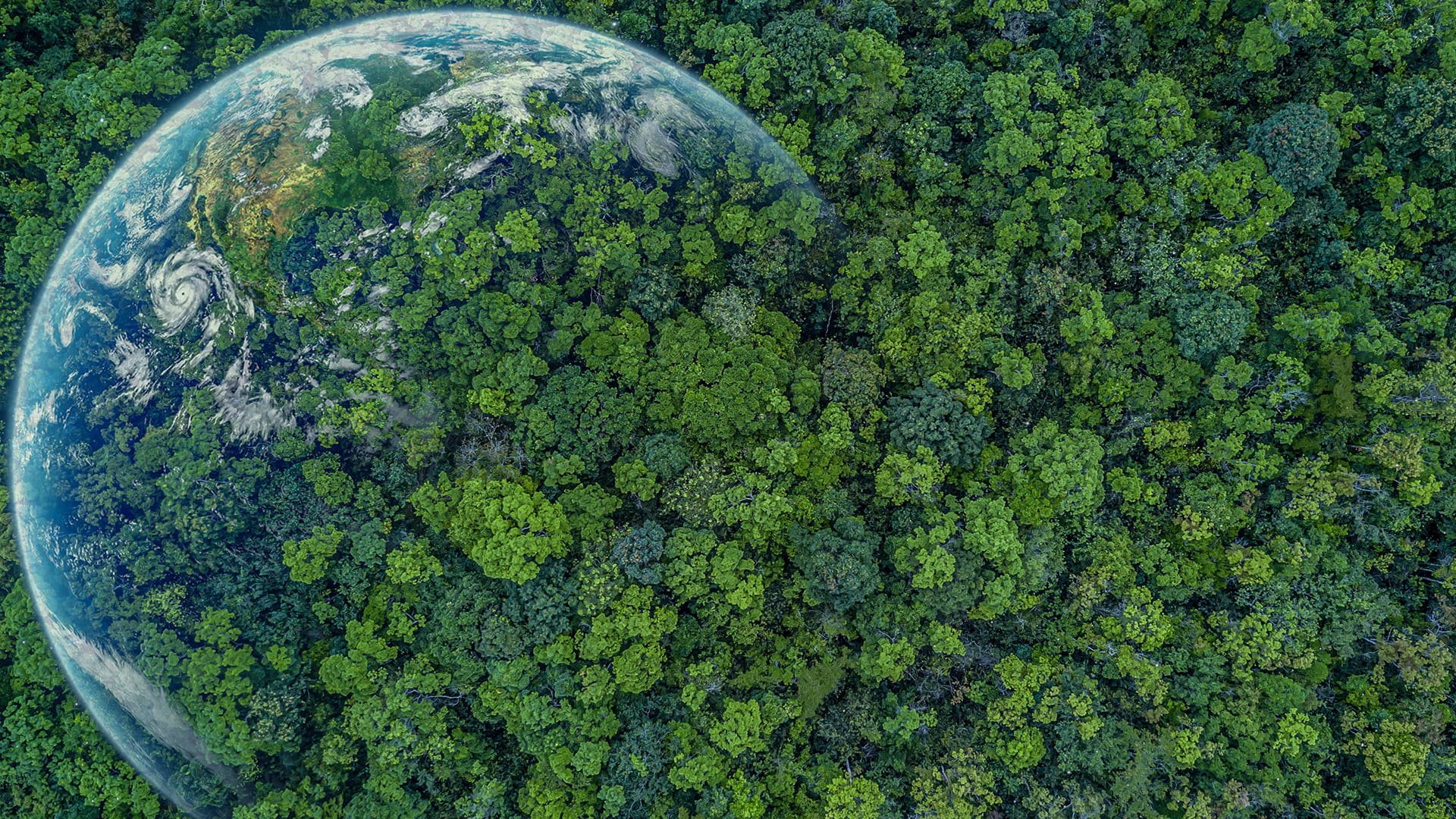 Decorative document preview image.