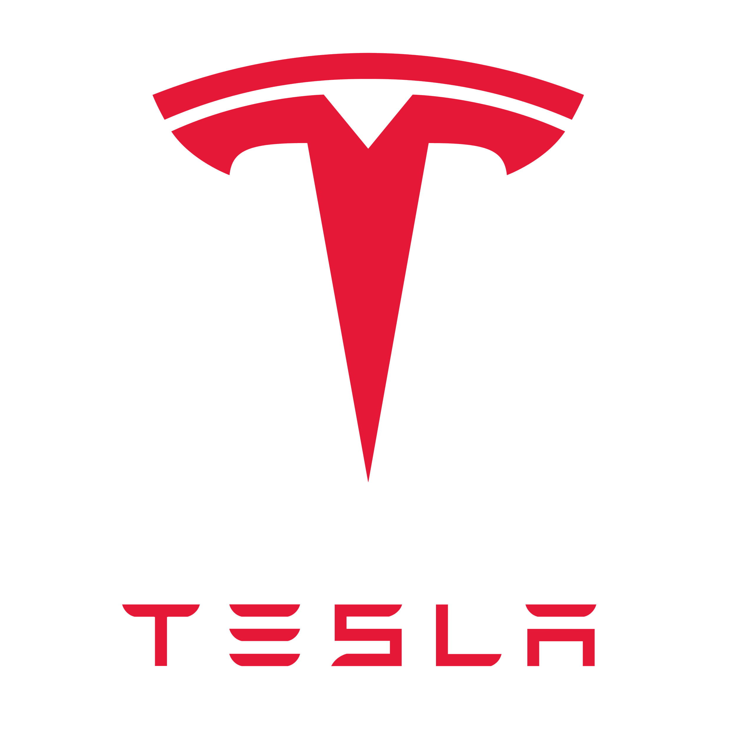 Tesla Model